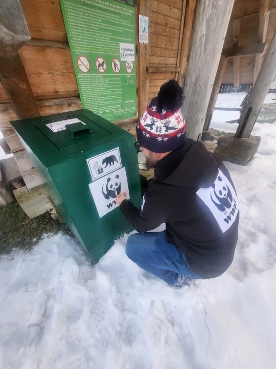 oklejanie kontenera niedźwiedzioodpornego