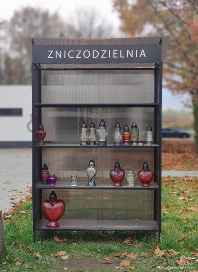 zniczodzielnia