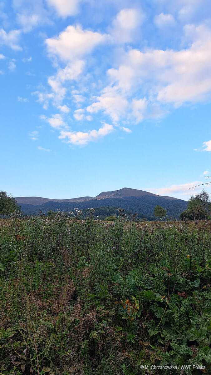 bieszczady