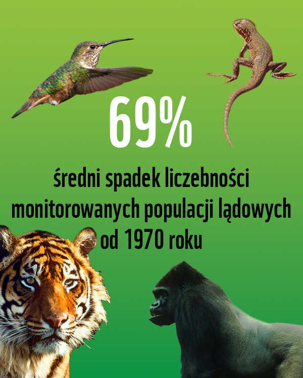 spadek populacji lądowych