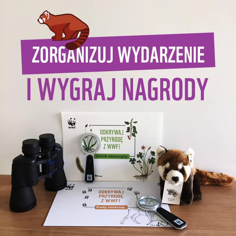 Program z Pandą WWF konkurs