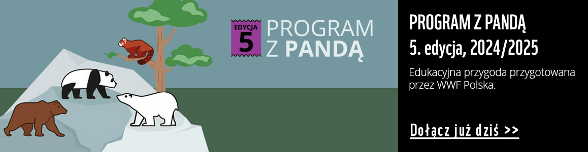 program z pandą 5 edycja