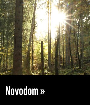 Novodom